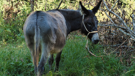 Similar image 21785496