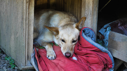 Similar image 21782219