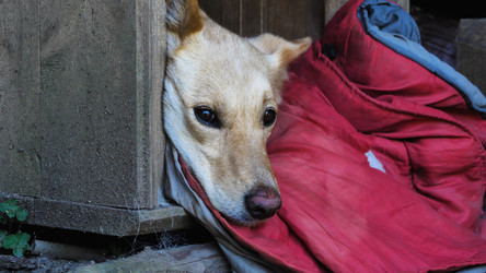 Similar image 21785500