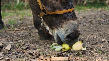 Similar image 21782220