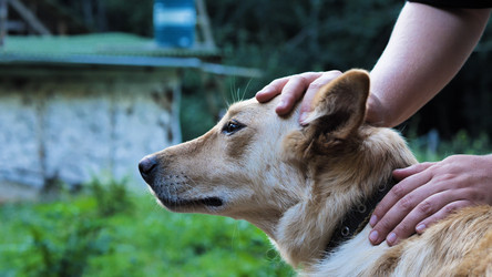 Similar image 21782221