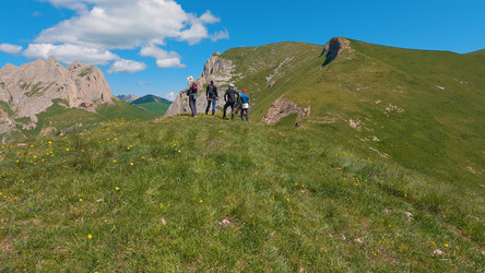 Similar image 21782226