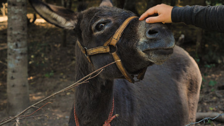 Similar image 21782227