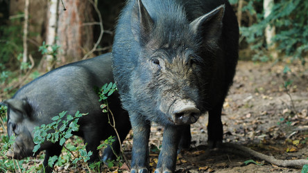 Similar image 21782241