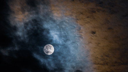 Similar image 21782347