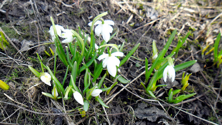 Similar image 21782394