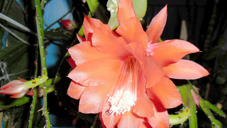 Similar image 21782395