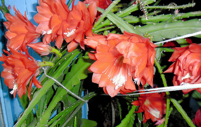 Similar image 21782396