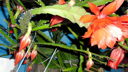 Similar image 21782397