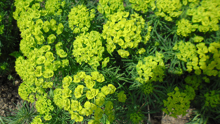 Similar image 21782399