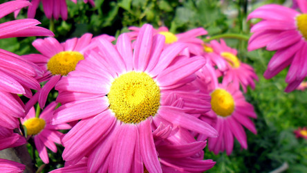 Similar image 21782403