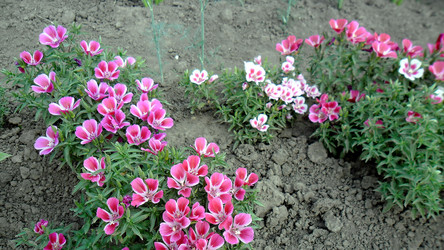 Similar image 21782404