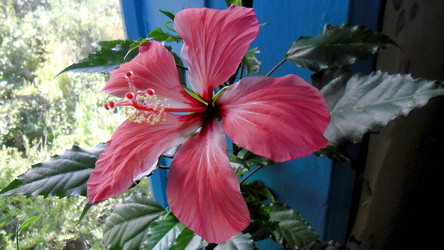 Similar image 21782405