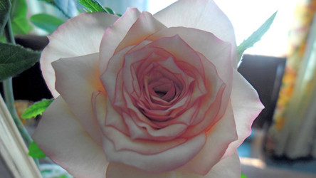 Similar image 21782406