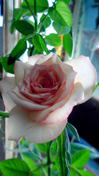 Similar image 21782408