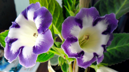 Similar image 21782410