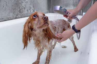 Similar image 21784708