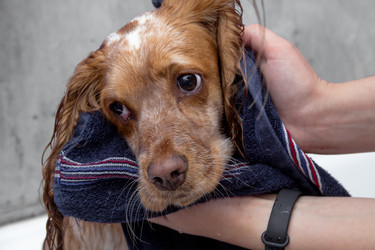 Similar image 21784709