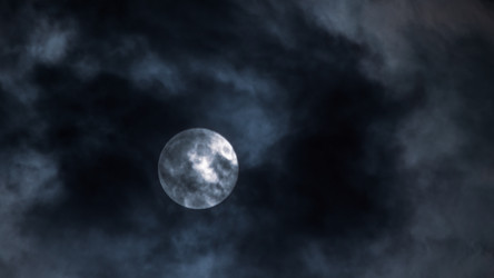 Similar image 21783438