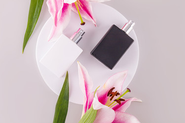 Similar image 21782107