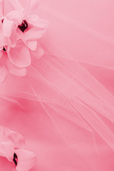 Similar image 21782120