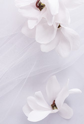 Similar image 21782121