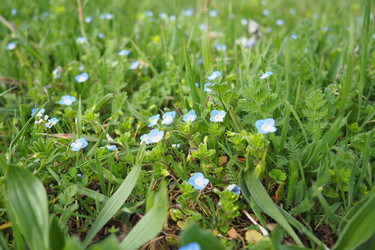 Similar image 21782124