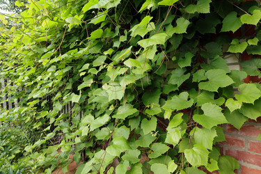 Similar image 21782132