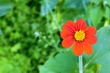 Similar image 21782133