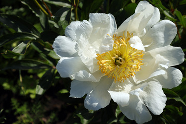 Similar image 21782134