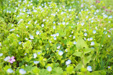 Similar image 21782137