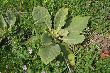 Similar image 21782144