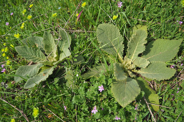 Similar image 21782145