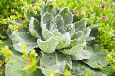 Similar image 21782146