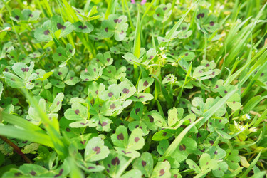 Similar image 21782147