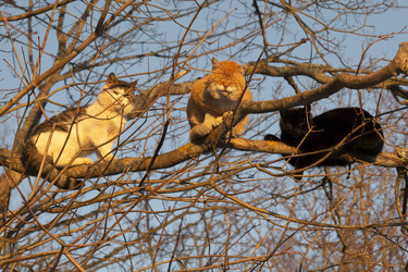 Similar image 21782149