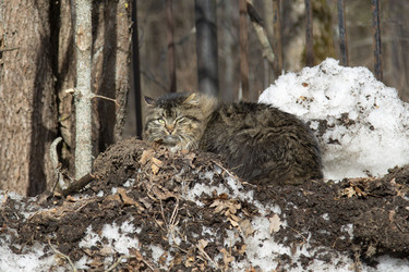 Similar image 21782150