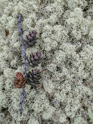 Similar image 21783503