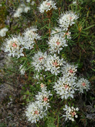 Similar image 21783505