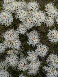 Similar image 21783507