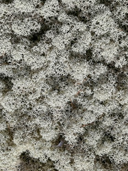 Similar image 21783510