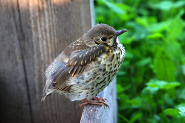 Similar image 21783511