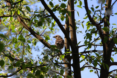 Similar image 21783512