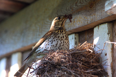 Similar image 21783513