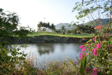 Similar image 21783543