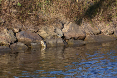 Similar image 21783550