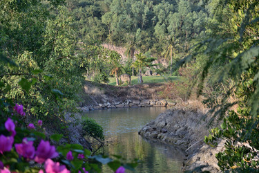 Similar image 21783552