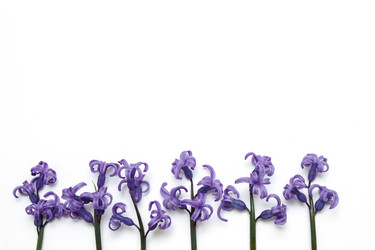 Similar image 21784713