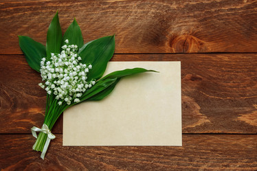 Similar image 21784716