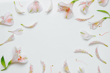 Similar image 21784719